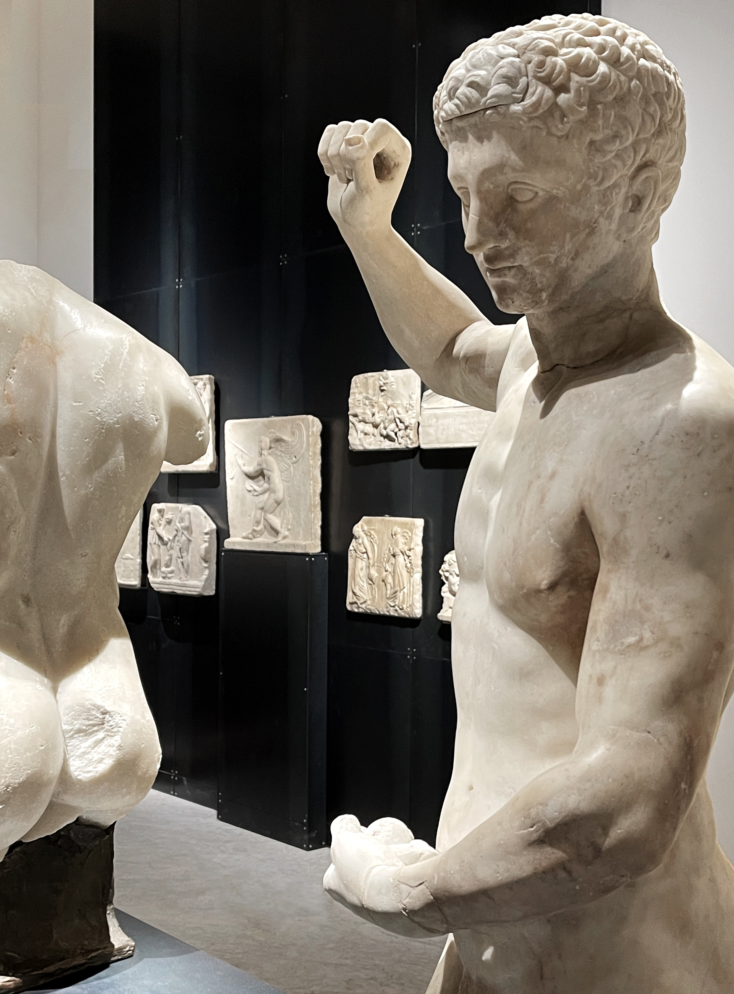 Credits_Musei Reali_GTRF Tortelli Frassoni Architetti Associati _Sala Collezioni Reali