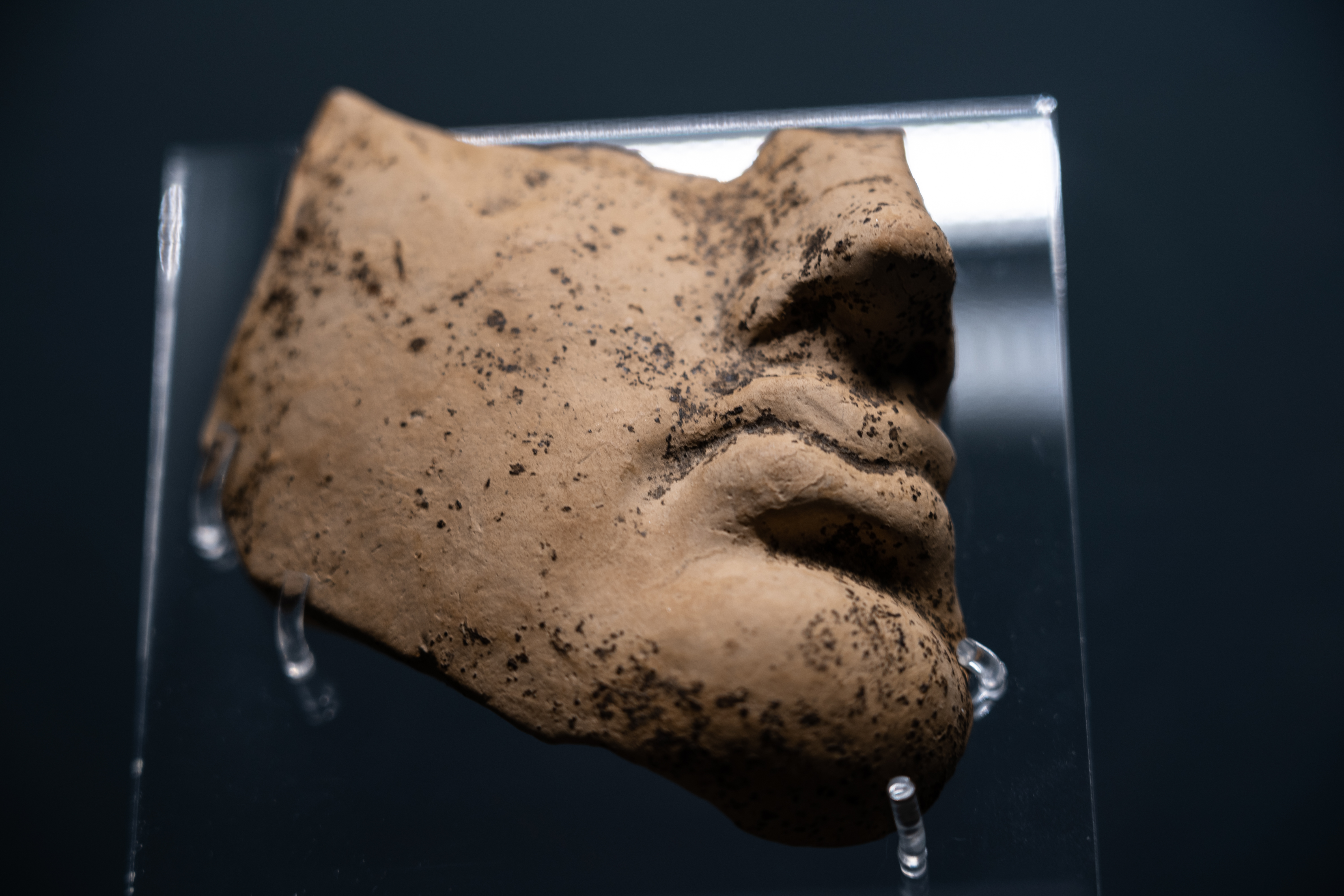 comacchio_museo delta antico_foto di Viral Passport (5)