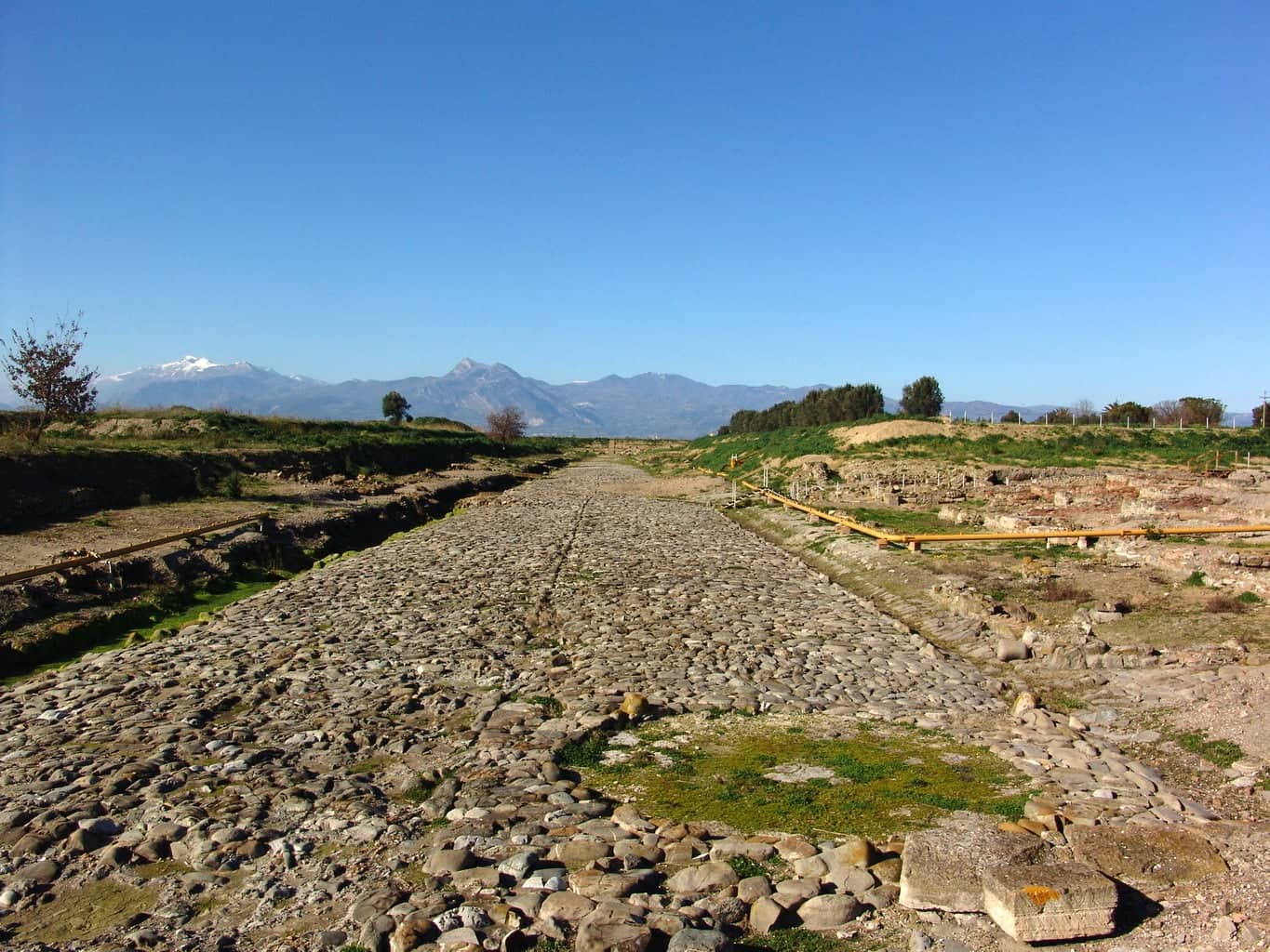 296850411_1788113704859493_8509550112869958989_n