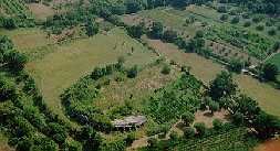 Teatro romano e Area archeologica dell’antica Cales