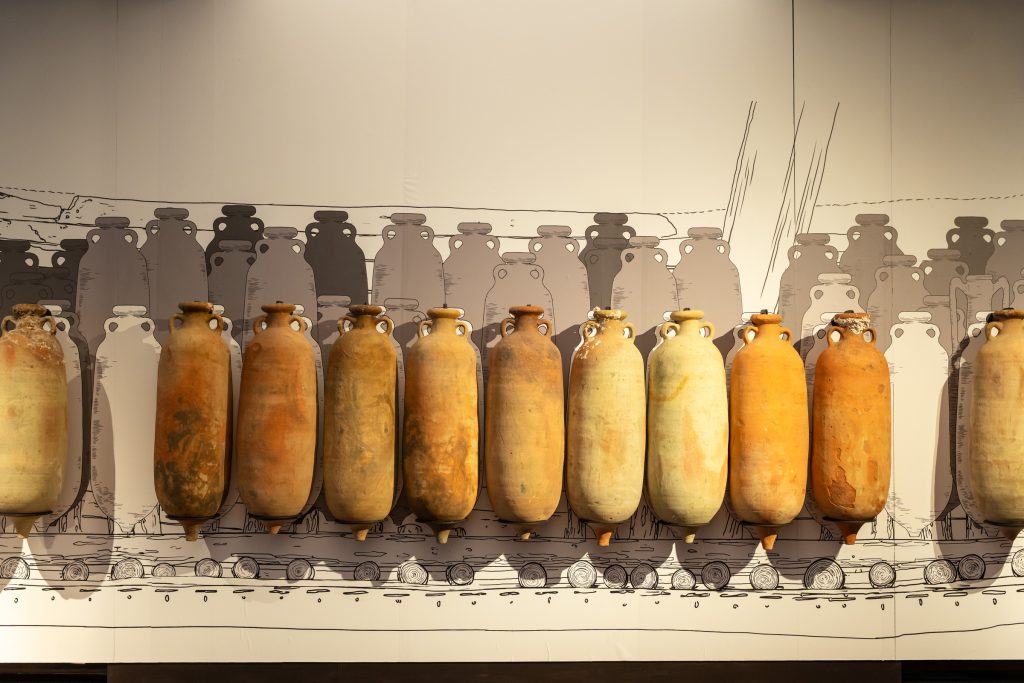 MNAS - Foto_Massmedia_11