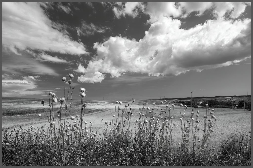 Fotografie della sequenza definitiva della mostra prevista alle Scuderie Doria del Castello di Melfi (Museo Archeologico Nazionale M. Pallottino) dal 13/09 al 14/12 2025
