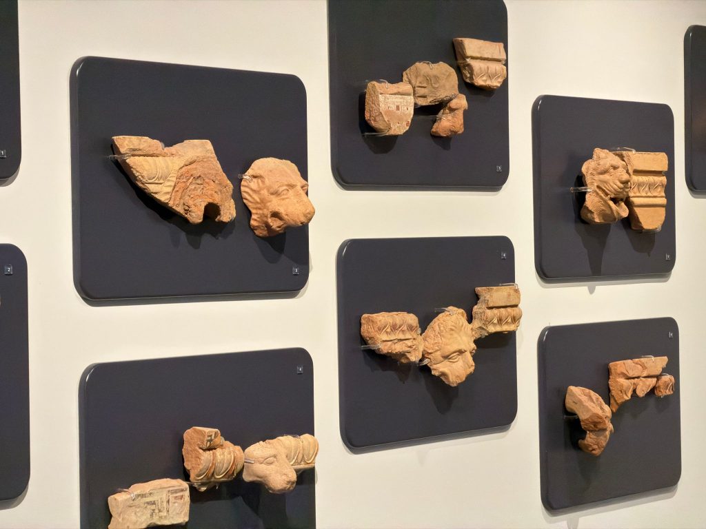 PHOTO-2026-03-10-12-35-15 (7)